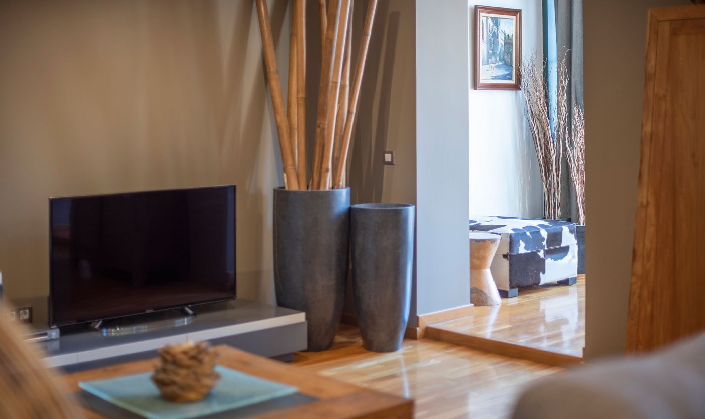 Television and bamboo decor detail in Suite Sol&eacute;a